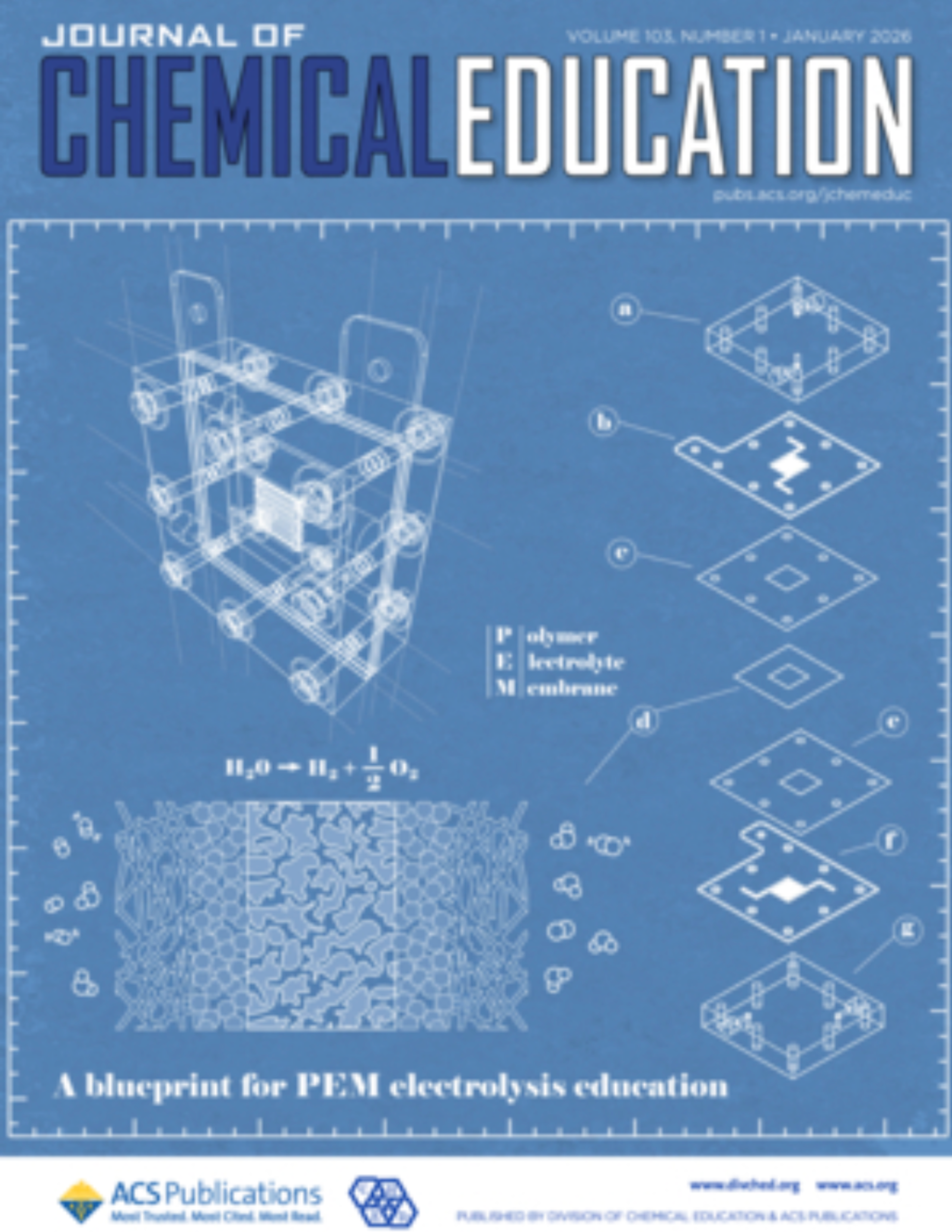 PCA and PLS-DA Clustering